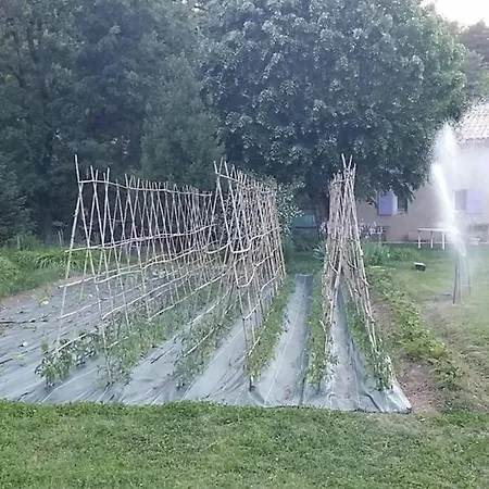 Maison Avec Rivière, Piscine, Spa, Sauna Infrarouge,terrain Boules, Ping-pong, Volley Et Badminton * Sainte-Tulle